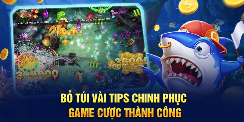 Bỏ túi vài tips chinh phục game cược thành công